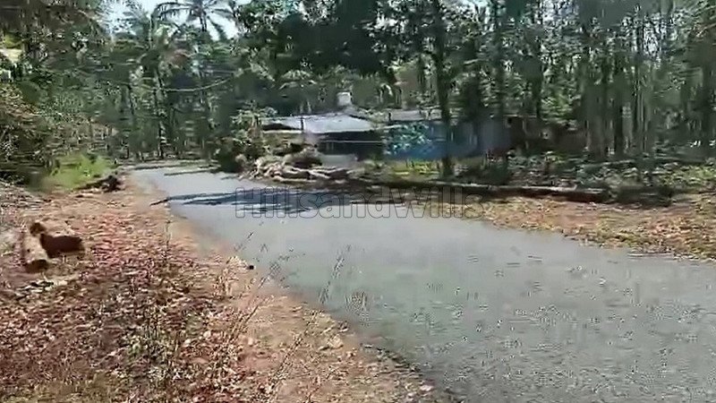 ₹16 Lac | 45 cents residential plot for sale in pulpally wayanad