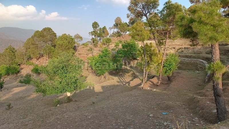 ₹40.40 Lac | 10908 sq.ft. agriculture land for sale in mauna nainital