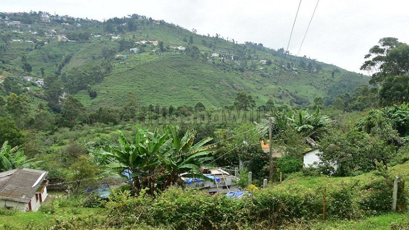 ₹95 Lac | 11.5 cents residential plot for sale in shenbaganur kodaikanal