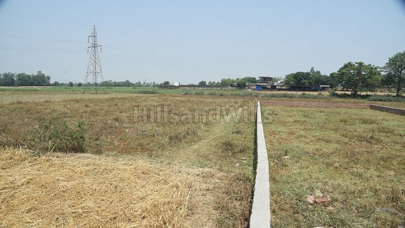 ₹20 Lac | 125 sq.yards residential plot for sale in sahaspur chakrata road dehradun