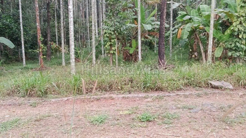 ₹60 Lac | 20 cents residential plot for sale in pulpally wayanad