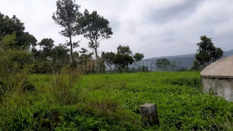 ₹1.80 Cr | 2.41 acres tea estate for sale  in calvary mount idukki