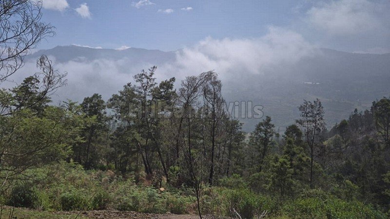 ₹85 Lac | 2.15 acres  panoramic view agriculture land for sale  in poombarai kodaikanal