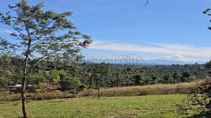 ₹60 Lac | 40 cents residential plot for sale  in vaduvanchal wayanad