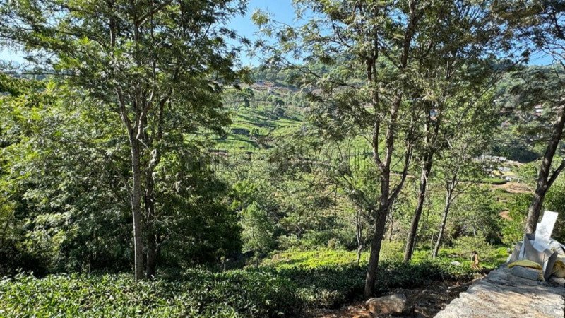 ₹13.75 Cr | 5.5 acres  scenic view tea estate for sale in aravenu kotagiri