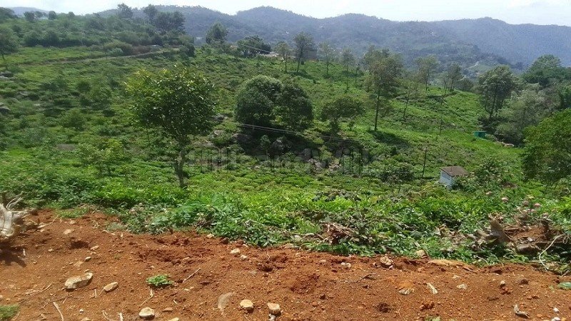 ₹24 Cr | 9.5 acres tea estate for sale  in alakkarai kotagiri