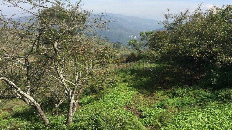 ₹17.10 Cr | 5.70 acres gated estate for sale  in upcoming corporation limit of kodaikanal