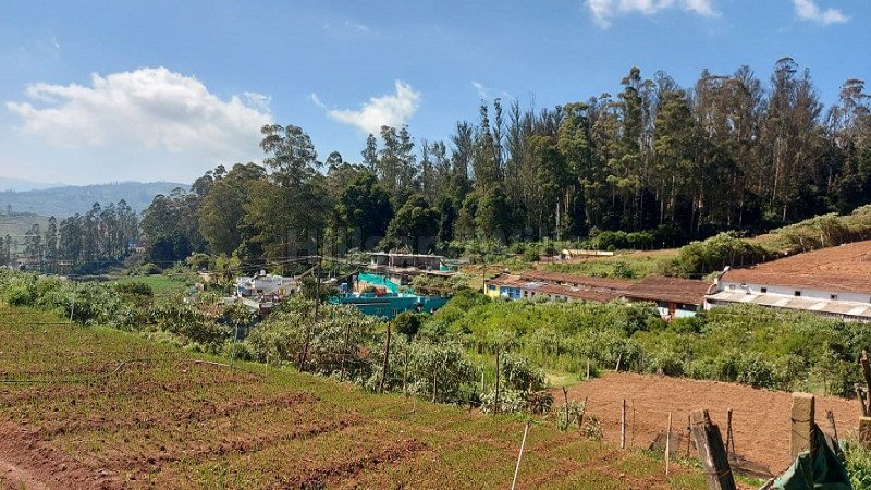 ₹3 Cr | 33 cents agriculture land for sale in muthorai palada ooty