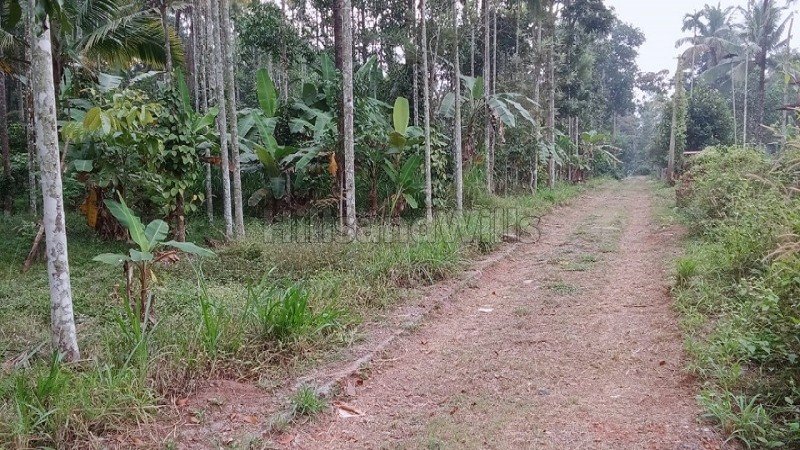 ₹60 Lac | 20 cents residential plot for sale in pulpally wayanad