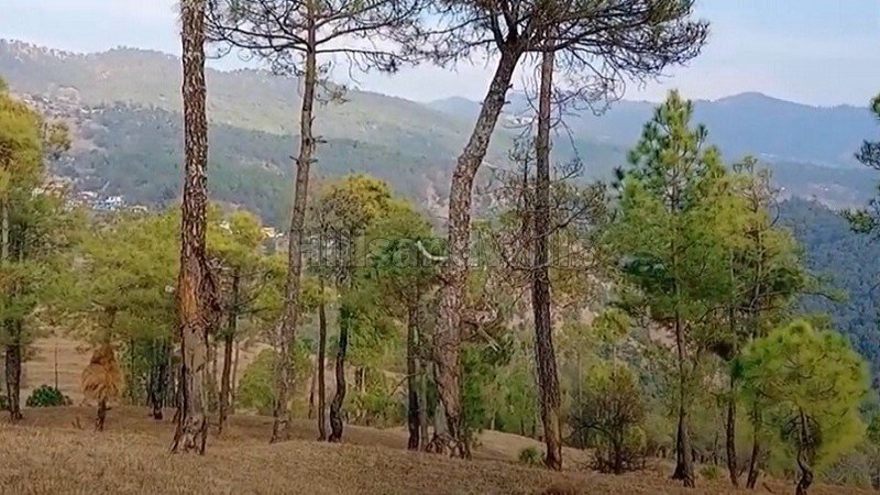 ₹24 Lac - 48 Lac | 300 sq.yards - 600 sq.yards  himalayan view residential plots for sale in jalna, almora near nainital