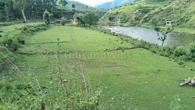 ₹52 Lac | 11000 sq.ft. residential plot for sale in kosi, almora near nainital