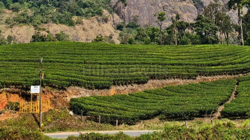 ₹3.50 Cr | 2.30 acres residential plot for sale  in viripara munnar