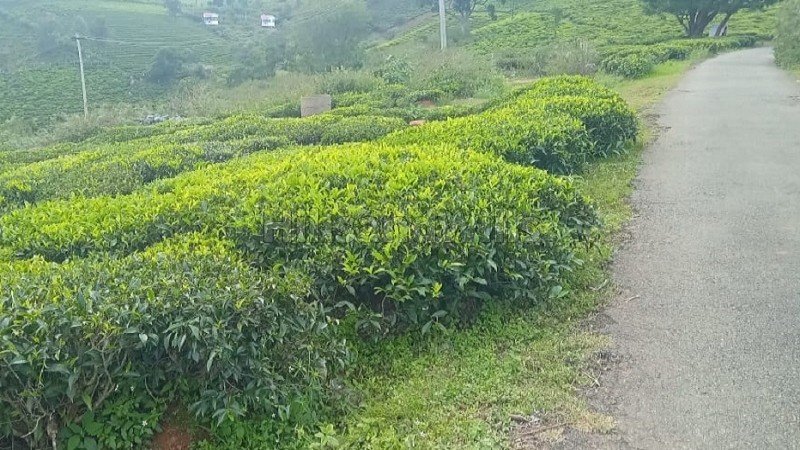 ₹1.05 Cr | 30 cents residential plot for sale in coonoor