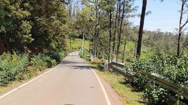 ₹1.40 Cr | 40 cents  tea garden land for sale  in kallatty village kotagiri