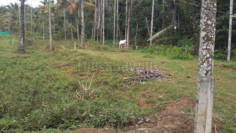 ₹15 Lac | 5.75 cents residential plot for sale in mysore main road gudalur