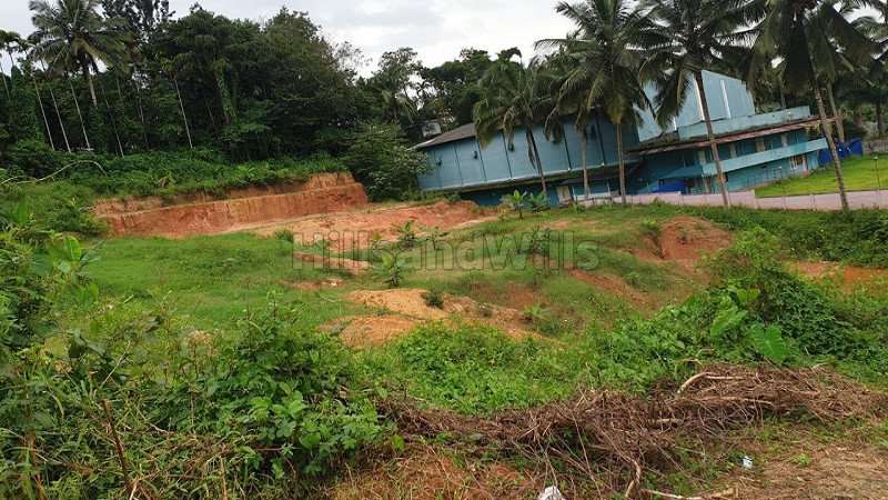 ₹6 Cr | 60 cents residential plot for sale  in sulthan bathery wayanad