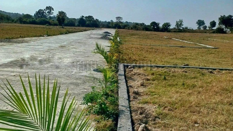 ₹26.72 Lac | 167 sq.yards residential plot for sale in bhauwala dehradun