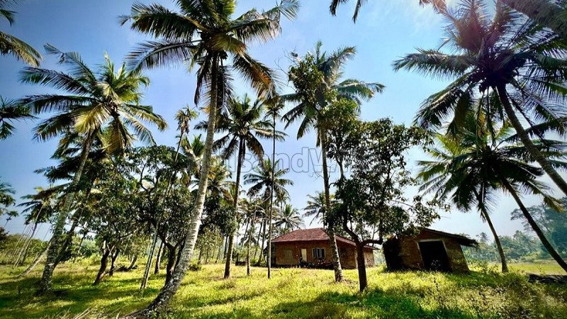 ₹1.30 Cr | 7 acres residential plot for sale in pulpally wayanad