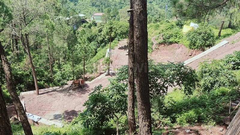 ₹90 Lac - 1.35 Cr | 200 sq.yards - 300 sq.yards residential plot for sale in kasauli hills solan