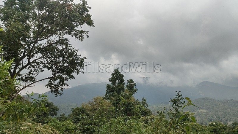 ₹1.19 Cr | 7 acres  agriculture land with waterfalls for sale  in pachalur kodaikanal