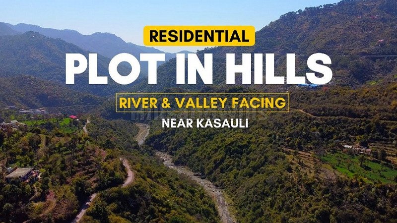 ₹55 Lac | 250 sq.yards residential plot for sale in kasauli solan