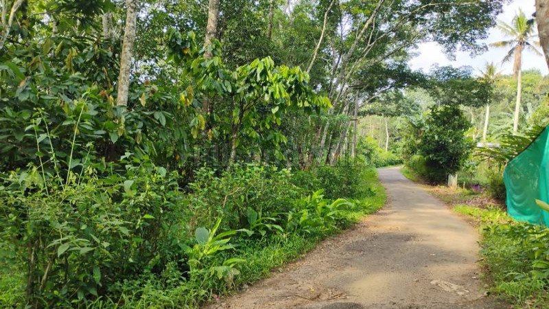 ₹1.90 Cr | 5 acres agriculture land for sale in anachal munnar