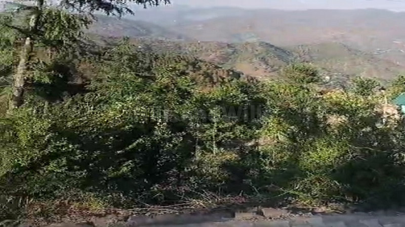 ₹44 Lac | 10 biswa agriculture land for sale in solan