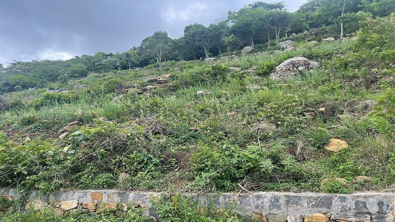 ₹1.60 Cr | 1 acres residential plot for sale in nagalur yercaud