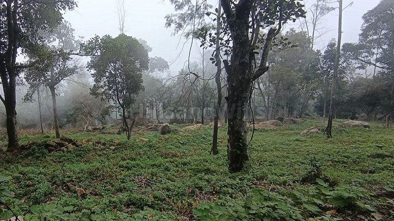 ₹36 Lac | 12 cents  gated community plot for sale  in pethuparai kodaikanal