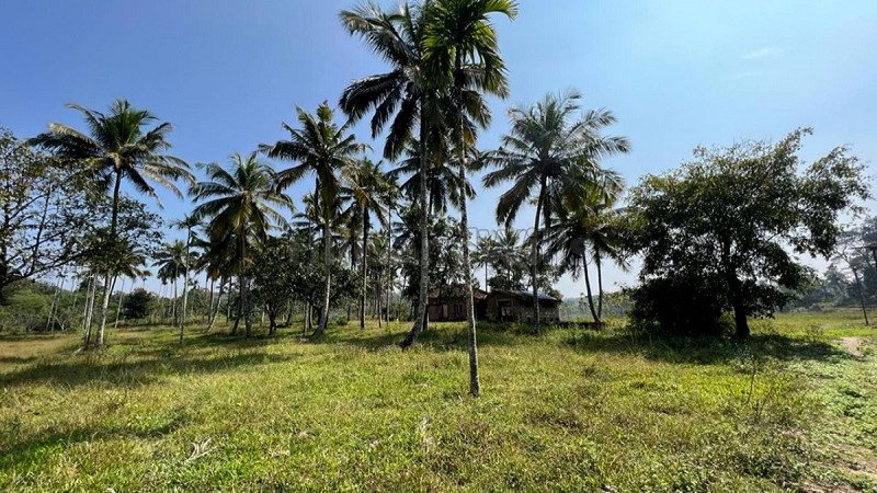 ₹1.30 Cr | 7 acres residential plot for sale in pulpally wayanad