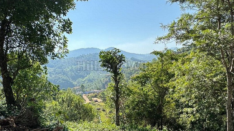 ₹13.75 Cr | 5.5 acres  scenic view tea estate for sale in aravenu kotagiri