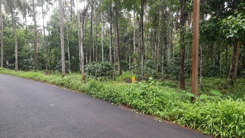 ₹60 Lac | 113 cents agriculture land for sale in pulpally wayanad