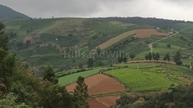 ₹1.50 Cr | 1.5 acres tea estate for sale  in kundha ooty