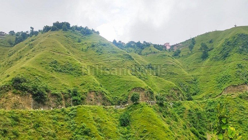 ₹40 Lac | 310 sq.meter commerical land for sale  in naldehra shimla