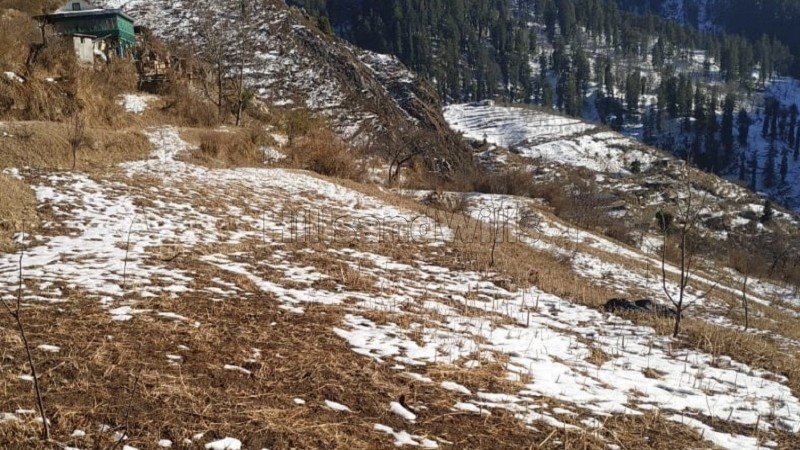 ₹1 Cr | 1 bigha  apple orchard for sale  in jibhi valley kullu-manali