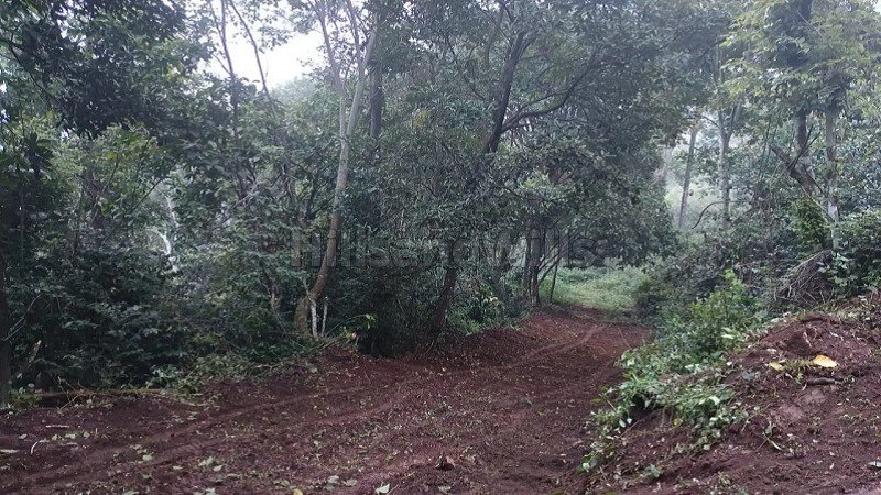 ₹24 Lac | 5270 sq.ft. residential plot for sale  in perumalmalai kodaikanal