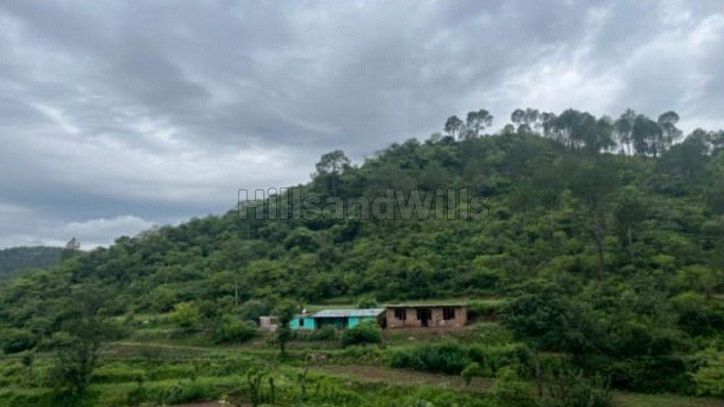 ₹3 Cr | 21 bigha agriculture land for sale in dolanji solan