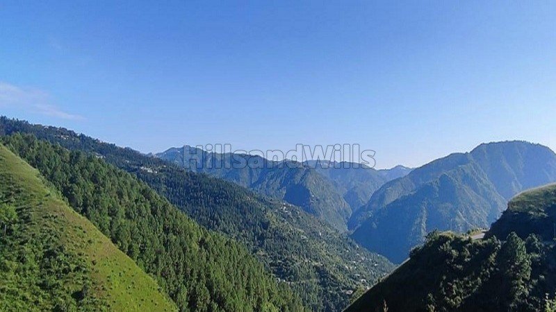 ₹40 Lac | 310 sq.meter commerical land for sale  in naldehra shimla