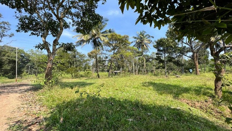 ₹1.30 Cr | 7 acres residential plot for sale in pulpally wayanad