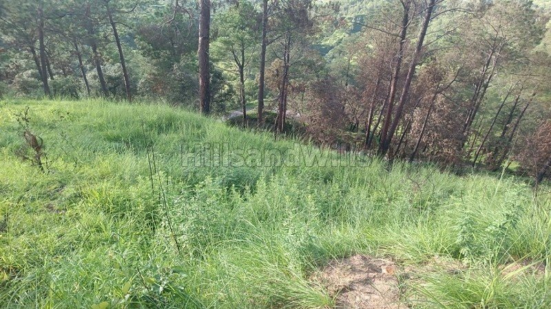 ₹50 Lac | 10800 sq.ft. commerical land for sale in almora near nainital