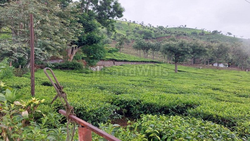 ₹250 Cr | 570 acres tea estate for sale in coonoor