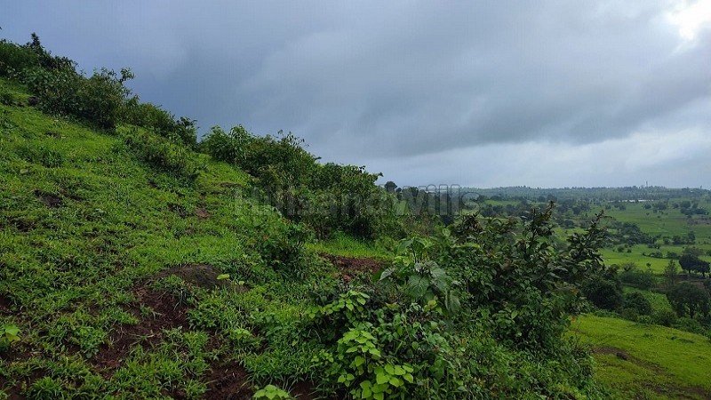 ₹20 Lac | 10 guntha agriculture land for sale in velunje trambak