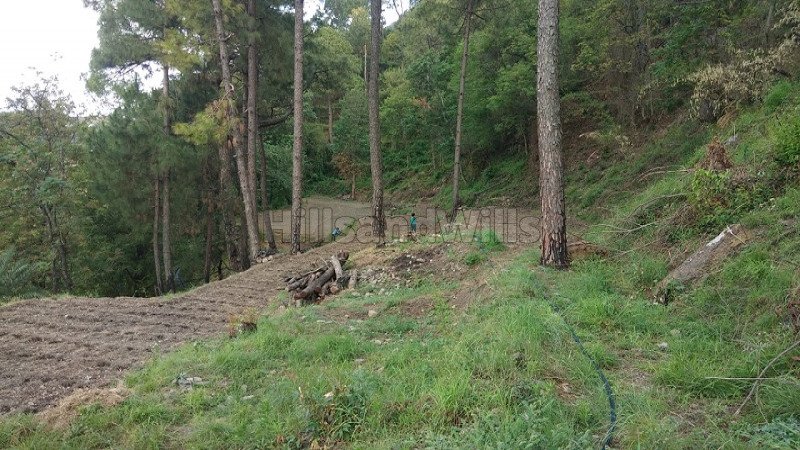 ₹52.80 Lac | 7.14 bigha commerical land for lease  in dehun ghat, saproon, solan