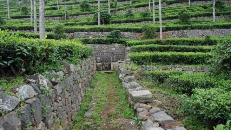 ₹3.25 Cr | 69 cents tea estate for sale in konavakarai kotagiri