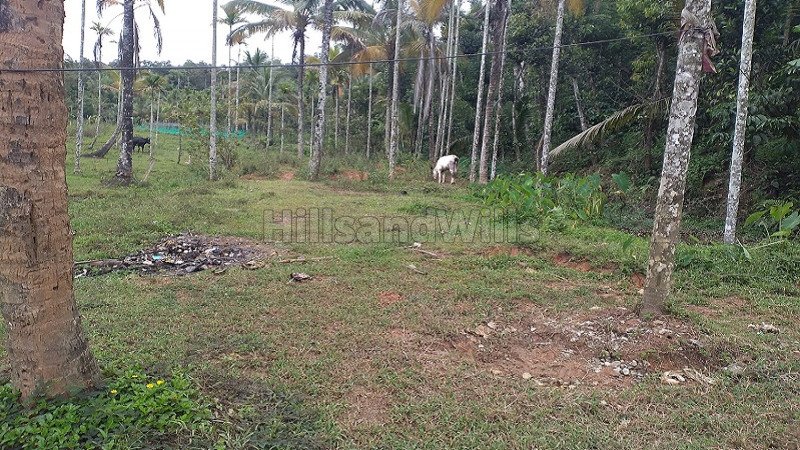 ₹15 Lac | 5.75 cents residential plot for sale in mysore main road gudalur