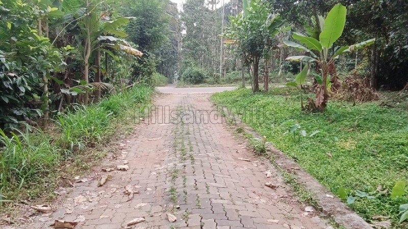 ₹60 Lac | 20 cents residential plot for sale in pulpally wayanad