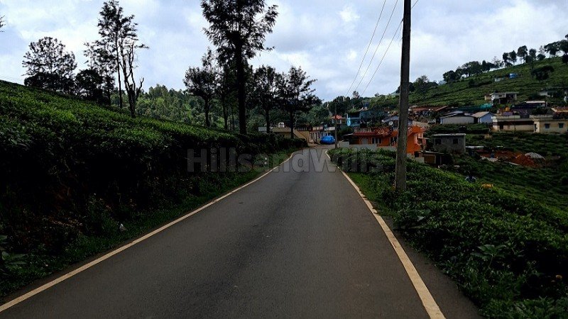 ₹95 Lac | 2 acres tea estate for sale in coonoor