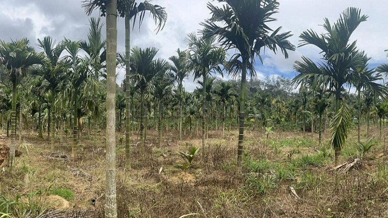 ₹55 Lac | 1 acres agriculture land for sale in pattavayal gudalur