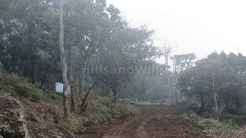 ₹36 Lac | 12 cents  gated community plot for sale  in pethuparai kodaikanal