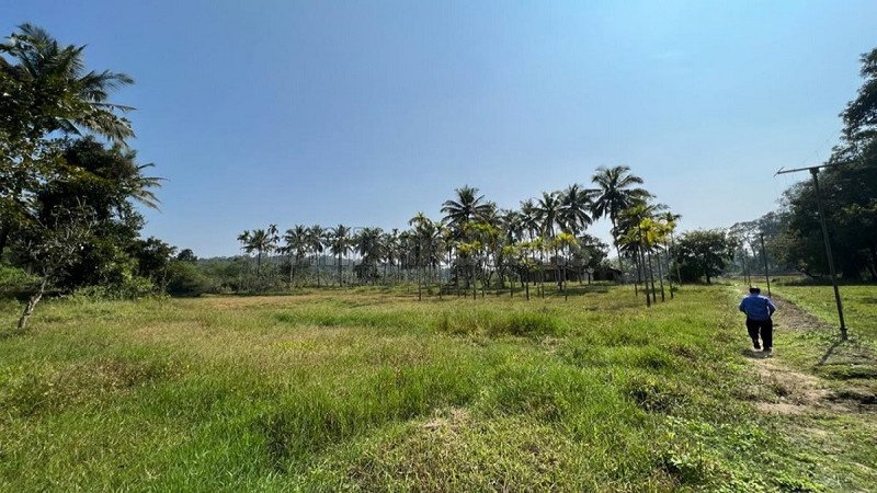 ₹1.30 Cr | 7 acres residential plot for sale in pulpally wayanad